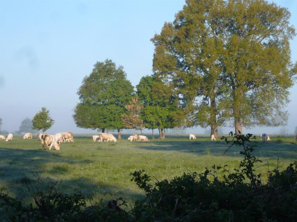 La Thibaude - Livry Bed & Breakfast Livry  Luaran gambar